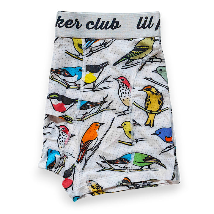 #color_lil-pecker-club-dinosaur-world